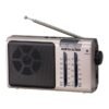 Rádio Portátil ECOPOWER EP-F30 - AM/FM/SW - AUX - Recargable Rádio Portátil ECOPOWER EP-F30 - AM/FM/SW - AUX - Recargable
